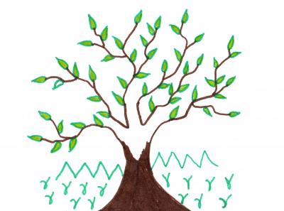 Árbol de la finca donde jugábamos con mi hermano el grandulón