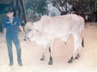 Mi hermano Jhon con su becerro en la finca