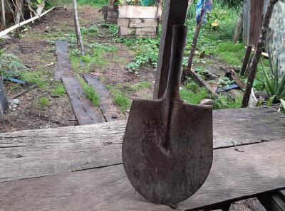 La Pala Herramienta De Don Luis Incansable Conserva Salud Y Buen Humor